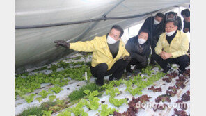 이성희 농협중앙회장, 폭설피해 농업현장 점검
