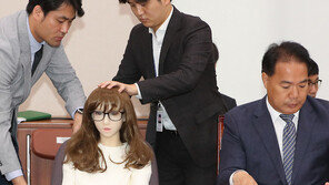 ‘전신 리얼돌’ 통관 허용…미성년·특정인 형상은 안돼