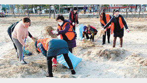 울산 일산해수욕장 일대 환경정비