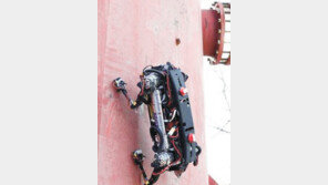 KAIST팀, 초속 70cm로 벽면 걷는 로봇 개발 