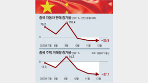 “中 12월 주택거래 37% 급감… 내수 침체에 내년 경제 암울” 