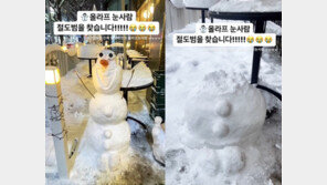 “올라프 눈사람 절도범 찾아요” CCTV 보니…롱패딩男, 얼굴 떼서 도망