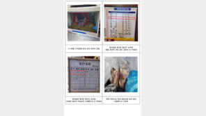 ‘일본산 참돔·호주산 오징어’ 국내산 속여 판매한 업소 3곳 적발