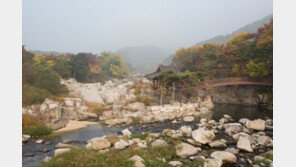 문화재청, 별서정원 9곳 역사성 검토…기록 고친다