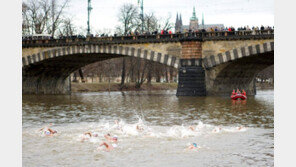 “이 정도 추위쯤이야” 강으로 풍덩[퇴근길 한 컷]