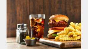 ‘햄버거 제공 약속·비방글’ 고교 학생회장…“당선 무효” 판결