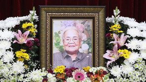 외교부, 위안부 피해자 이옥선 할머니 별세에 “명예 회복 적극 노력”