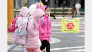 초등전일제·유보통합 예산 ‘0원’ 지적에…교육부 “차질 없이 추진”