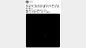 한밤 수도권 전투기 굉음에 “전쟁 난줄”…미상 항적에 공군 출동