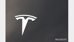 테슬라 주가, 또 11% 폭락…올해 70% ↓
