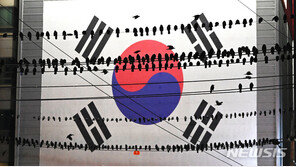 ‘새똥 경보령’ 수원 떼까마귀, 조류인플루엔자 ‘음성’ 판정