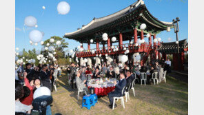 새떼 이어 풍선에 전투기 또 출격…주민들 놀라