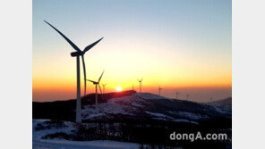 “해발 1140m서 첫 해를”… 삼양목장, 해돋이 행사 3년 만에 재개