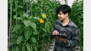 [농업+IT=스마트팜] 1. 스마트팜에 관심을 가져야 하는 이유