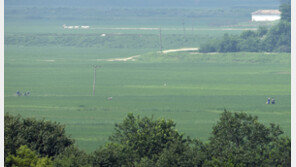 유엔 대북제재위, 올해 제재 대상 정보 47건 수정…역대 최다