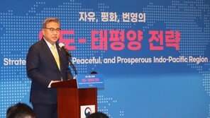 박진 “인태전략은 ‘윤석열 독트린’…최초의 포괄적 지역전략”