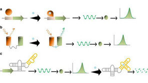 [IT강의실] 코로나 진단용으로 주목받은 바이오센서, 이젠 수산물 배달 서비스에도?
