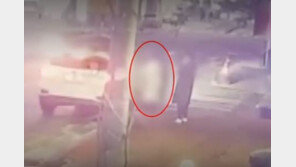 택시기사 살해범, 사고 직전 여친이 음주운전 말렸다