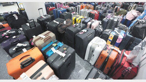 ‘저가’ 美 사우스웨스트항공, 하루 2677편 결항 대란 