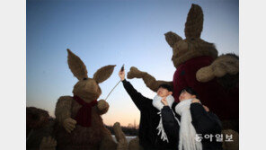 월드컵공원에 8m ‘억새 토끼’… 계묘년 인증샷 명소 예감