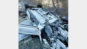 100m 협곡 추락 “현대차-아이폰이 살렸다” 