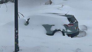 미 버팔로시 시장, ‘폭설 대응 부실’ 책임론 부상