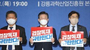 민주 “이재명 수사 檢, 공무상 비밀누설죄 고발 검토”