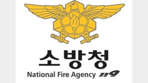 제야의 종 타종행사장에 119특수구조대 배치된다