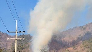 부산 강서구 봉화산 불…대응1단계 발령