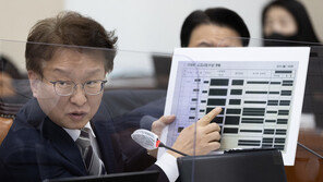 서울시 “이태원 참사 ‘유가족 명단’ 3차례 걸쳐 행안부 제공”