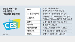 車안에서 ‘플레이스테이션’ 즐기고 졸음운전하면 AI가 운전자에 경고 