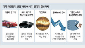 “테슬라車-코인-메타 VR헤드셋… 내년에 절대 사지마라” 