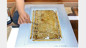 국보 ‘통감속편’ 일본산 원료 종이로 제작 첫 확인