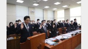 이태원 국조, 청문회 2번에 마무리?…기간연장 최대 쟁점