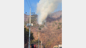 부산 강서구 봉화산 불 하루 만에 완진…임야 2ha 소실