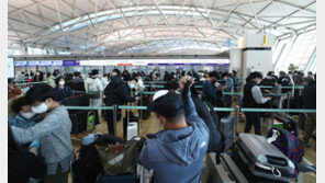 11월 해외여행객 수, 코로나 이후 첫 100만명대 돌파