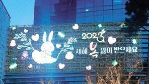 [고양이 눈]“새해 복 많이 받으세요”