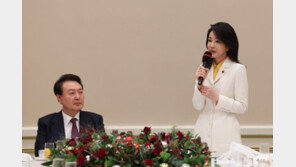 민주 “檢, 살아있는 권력 수사 안해…김건희 특검이 답”