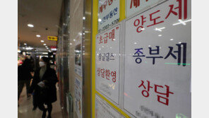 2년미만 보유 주택도 양도세 대폭 완화될 듯…다주택 중과 한시적 배제