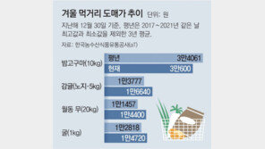 “물가 급등에 군것질도 줄여” 붕어빵-고구마 겨울특수 사라져