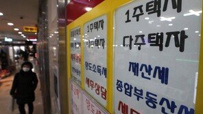 강남3구-용산 빼고 文정부 부동산 규제지역 다 푼다