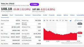 테슬라 주가 12% 이상 폭락, 100달러 붕괴 위기
