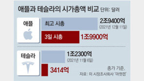 애플, 새해 첫 거래일 시총 2조달러 붕괴… 테슬라는 12% 급락