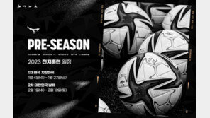 檢수사 후 2부 강등된 성남FC, 베스트11 절반 팀 떠났다