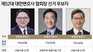 고소·고발 난무하는 변협회장 선거…“둘로 쪼개질라” 우려도