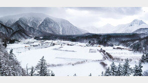 경북 지자체들, 다채로운 겨울 축제로 관광 산업에 활력