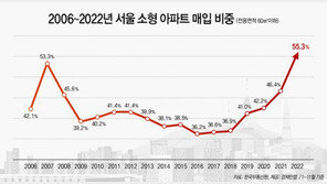 “대출이자 비싸서”…지난해 서울 아파트 매매, 소형이 55.3% ‘역대 최고’