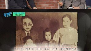 김혜자 “아버지가 재무부 장관, 900평 집…사람들이 공원으로 착각해”