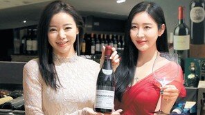 6000만 원대 와인