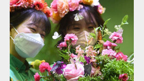 한겨울 신기한 나비 구경 